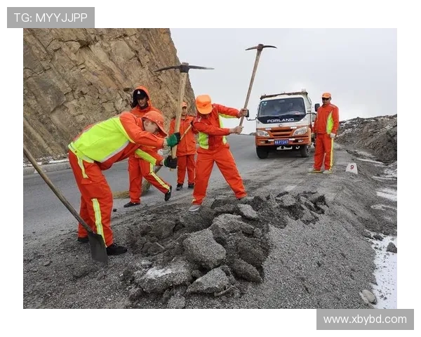 上海排球队的精神力量与团队意识探讨 上海排球队的精神力量与团队意识探讨