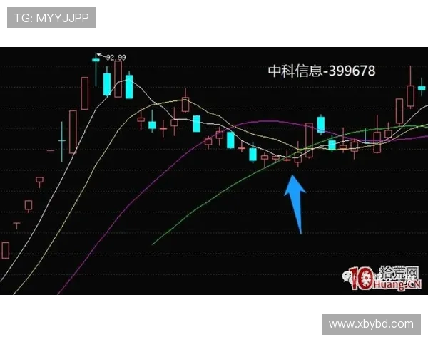 全球挑战赛分析:V5团队协作的精彩表现与战术深度探讨