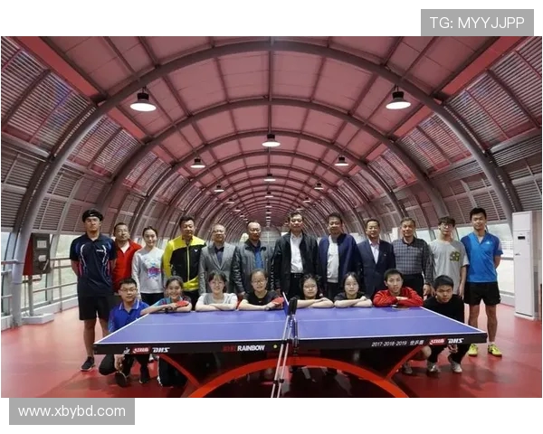 南京乒乓球队实力分析与发展潜力探讨聚焦乒乓球运动的未来之路