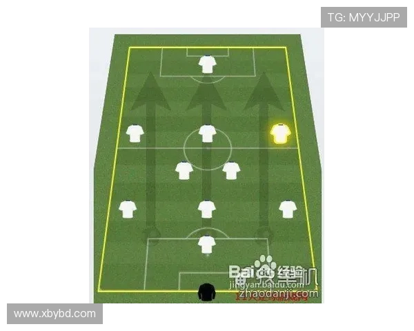 南京攀岩队快攻体系探秘：攀岩战术的创新与实践分析