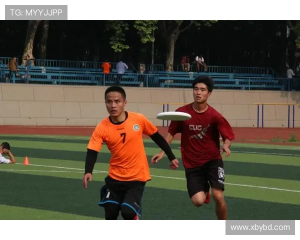 武汉飞盘队实力强劲荣登全国第六名引发广泛关注与热议