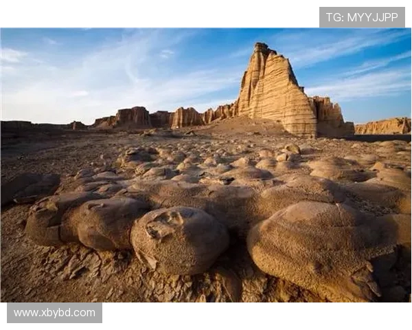 乌干达与埃及精彩对决比赛录像回顾及精彩瞬间分析