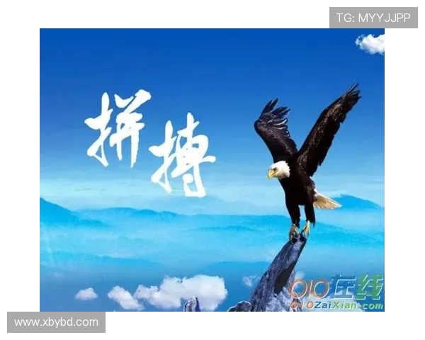 刘铮：从篮球场上的拼搏者到人生舞台上的奋斗者的精彩转变