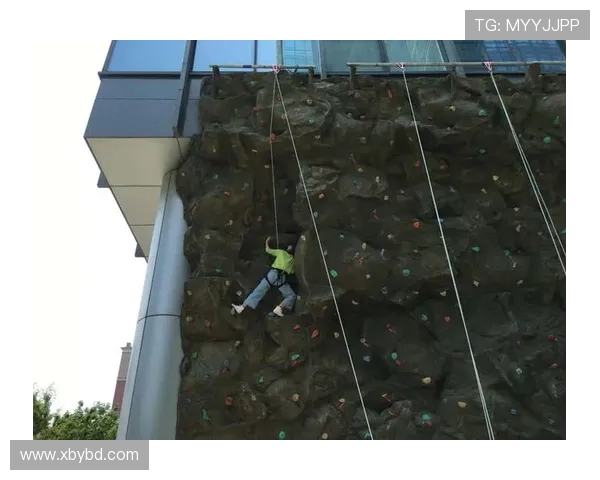 成都攀岩队意识表现的数据分析与提升策略探讨