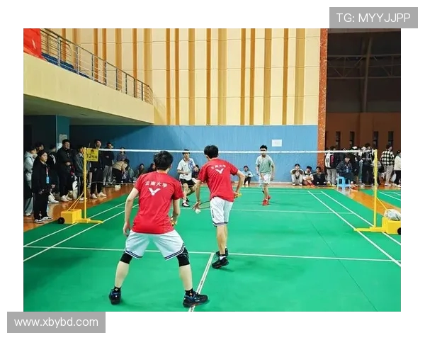 成都羽毛球队与北京羽毛球队赛后复盘分析力量对比与战术探讨