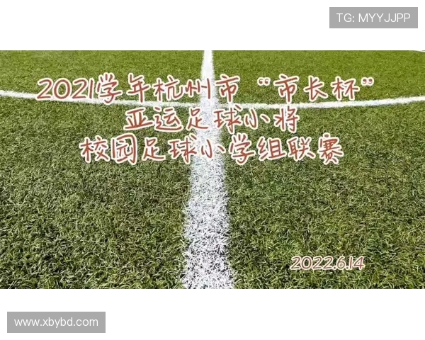 杭州足球队的运营成败分析与未来发展展望 杭州足球队的运营成败分析与未来发展展望