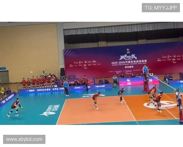 深圳排球队在全国排球团队协作排行榜中荣获第七名的佳绩